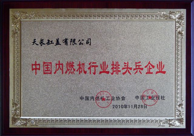 天长缸盖有限公司荣获“中国内燃机行业排头兵企业”称号