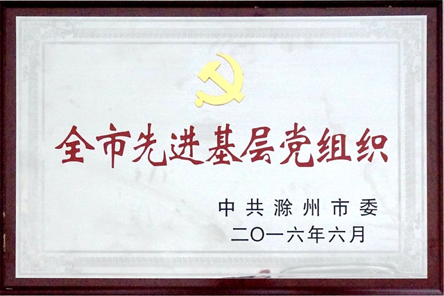 2016年全市xj****基层党组织