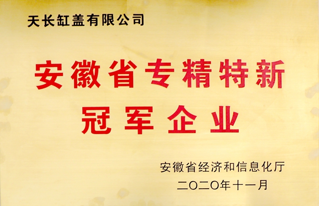 安徽省专精特新冠军企业