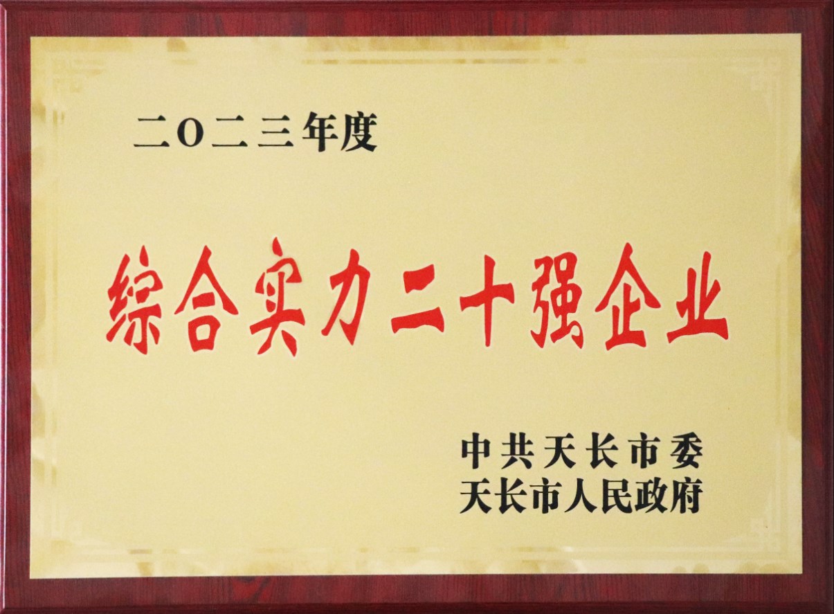 2023年度天长市综合实力二十强企业